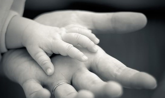 Những điều vô giá (Bài đọc hiểu tiếng Việt lớp 5 - đề số 12)